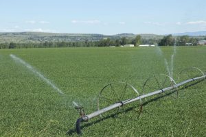 Farm Loan – Flexible Financing for Modern Agriculture